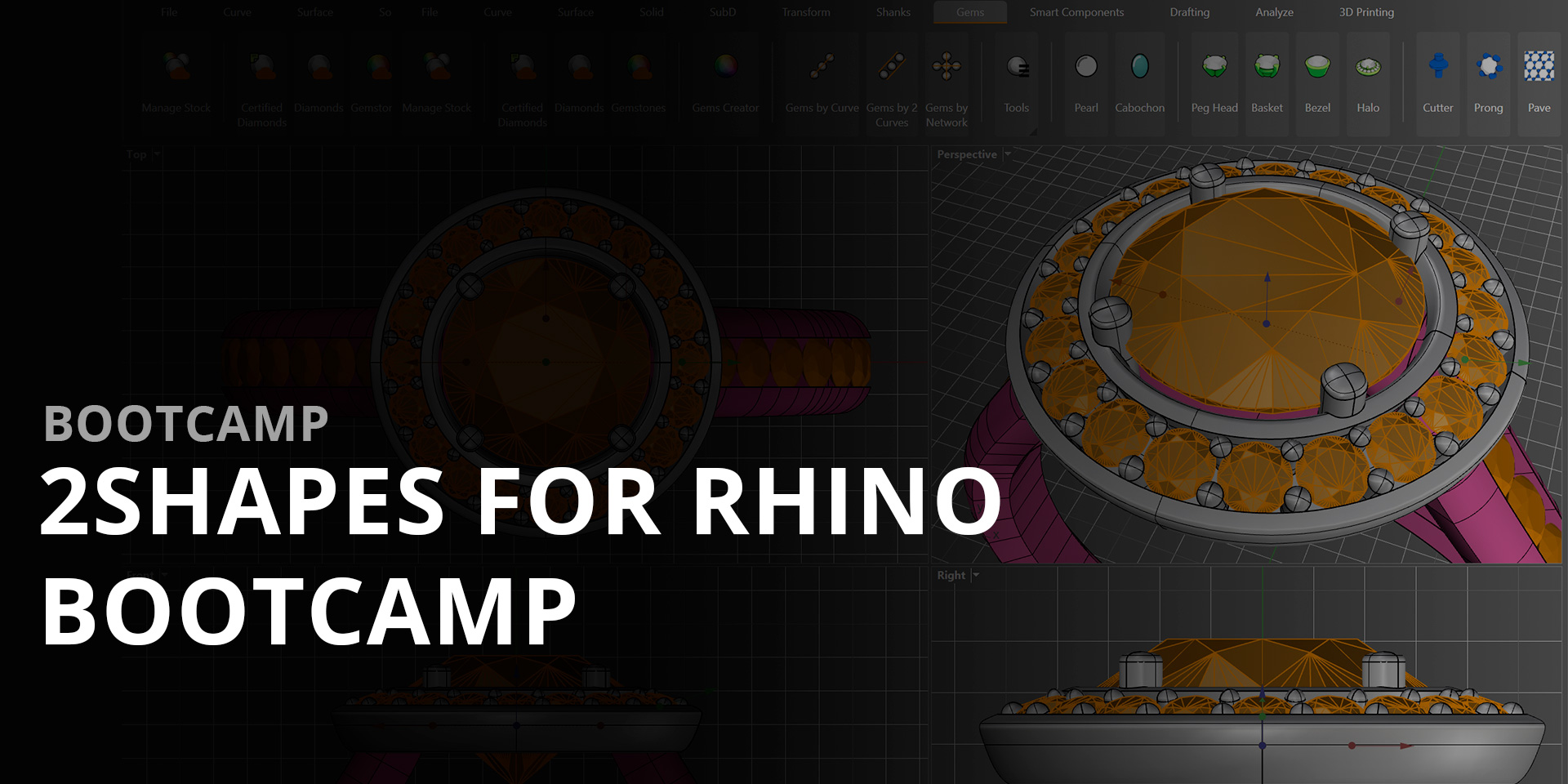 2Shapes for Rhino Bootcamp